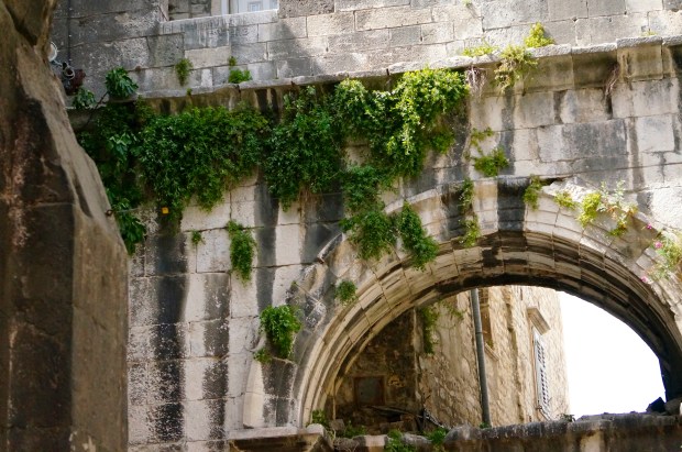 DSC08582 - Version 2